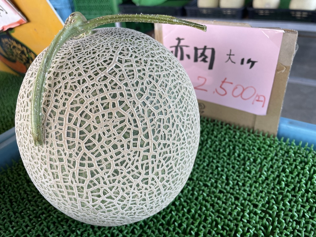 Yubari melon for sale
