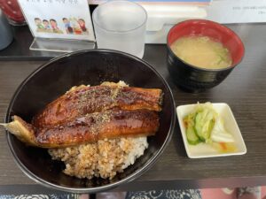 Una don (Unagi over rice)