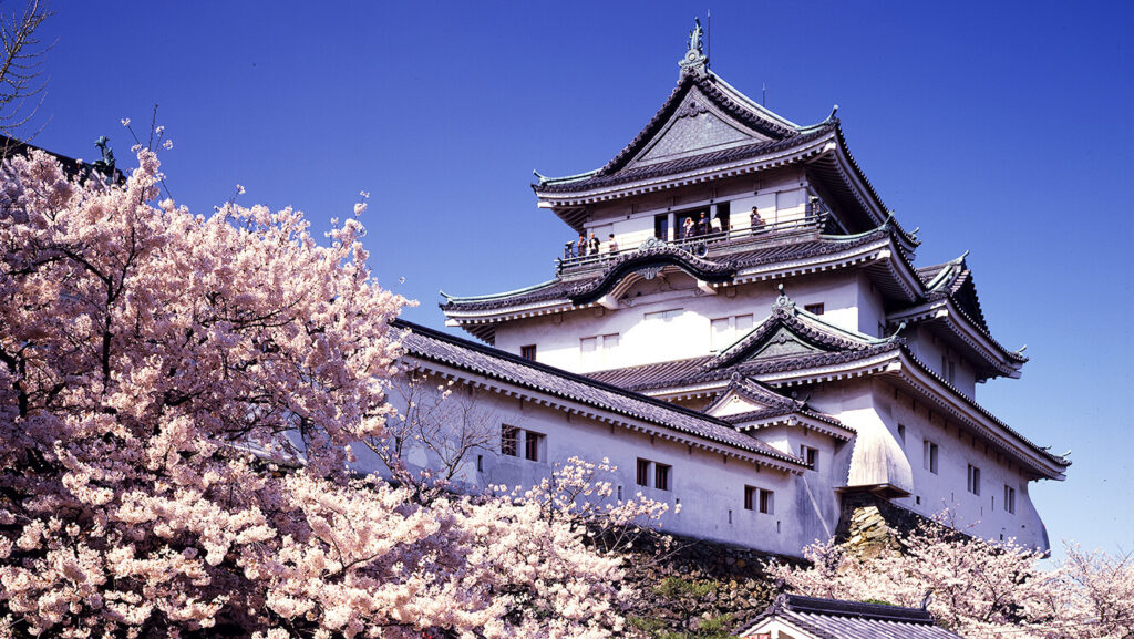 Wakayama Castle