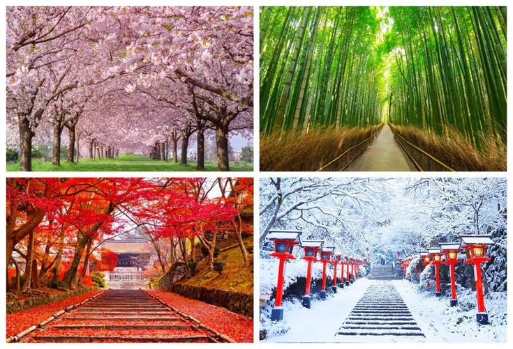 4 Seasons in Japan