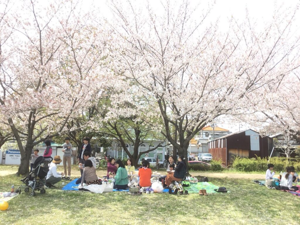 People picnicking under cherry blossoms
