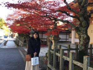 Red leaves on Maple tree