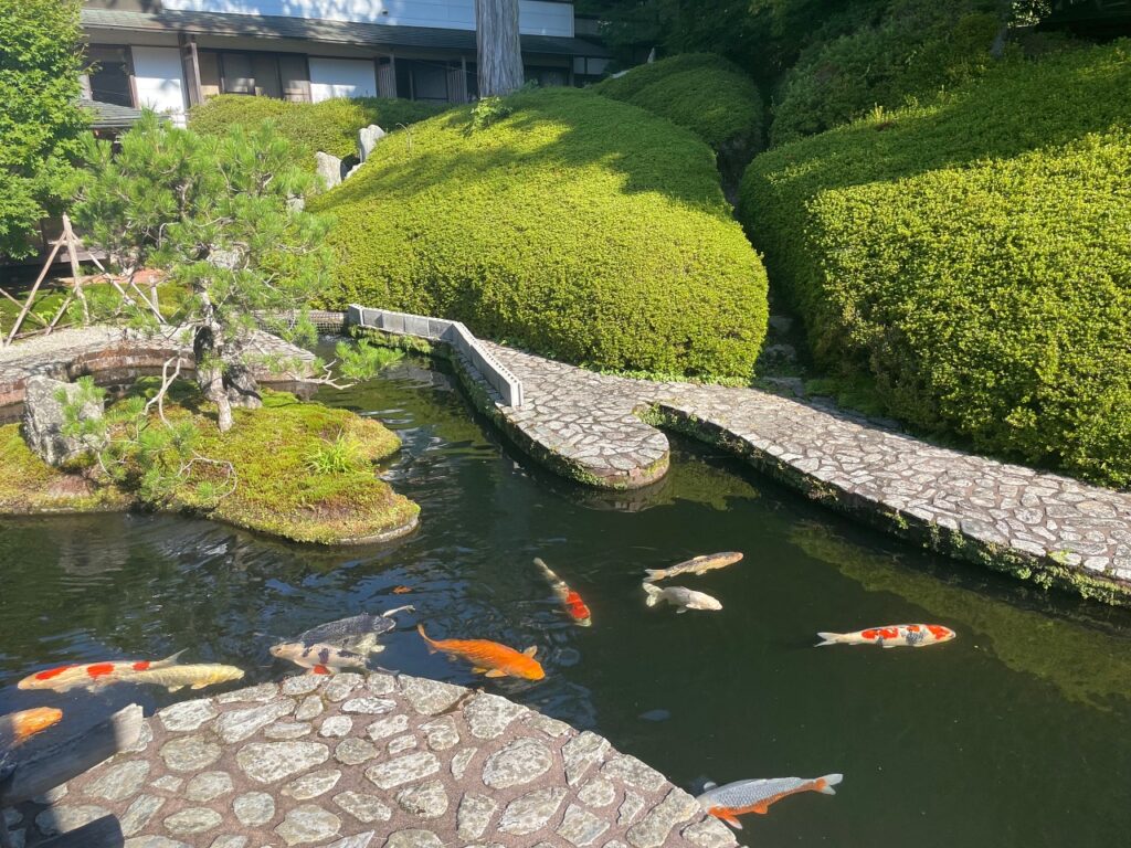 Fukuchiin koi pond in Wakayama Japan