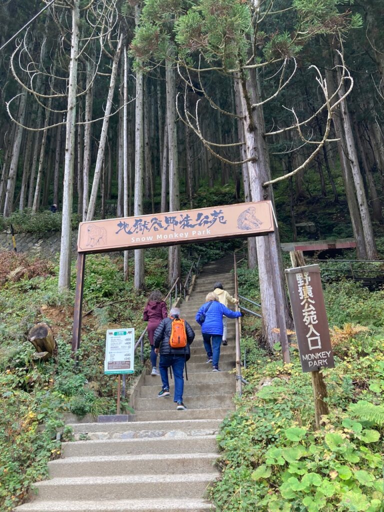 Snow Monkey Park stairs in Nagano Japan