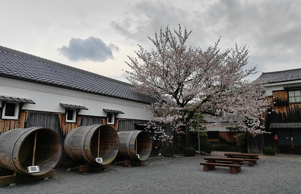 Gekkeikan Okura Sake Museum in Kyoto Japan