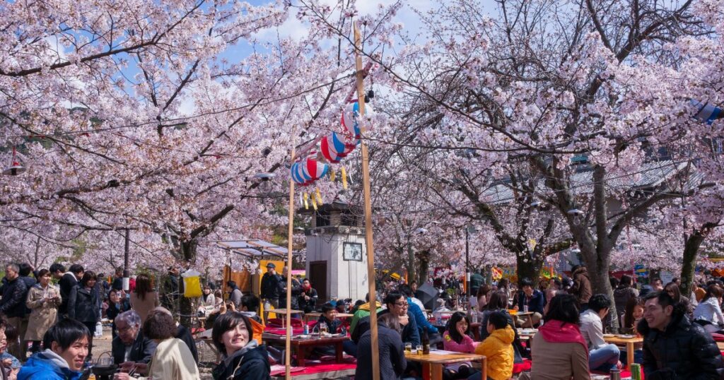 Maruyama Park with cherry blossoms in Kyoto Japan