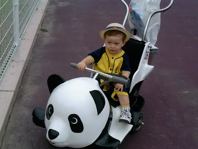 boy in panda stroller in Wakayama Japan