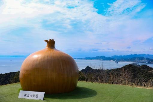 Awajishima Onion, Japan