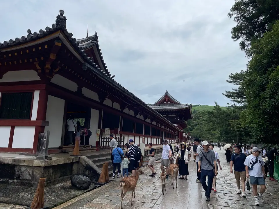 Nara Japan crowd at Todaiji