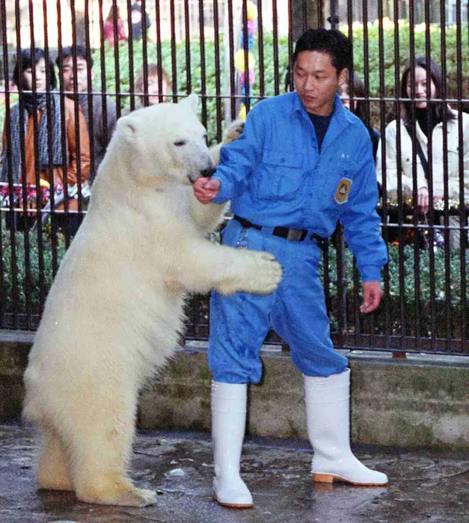 Zookeeper with baby polar bear