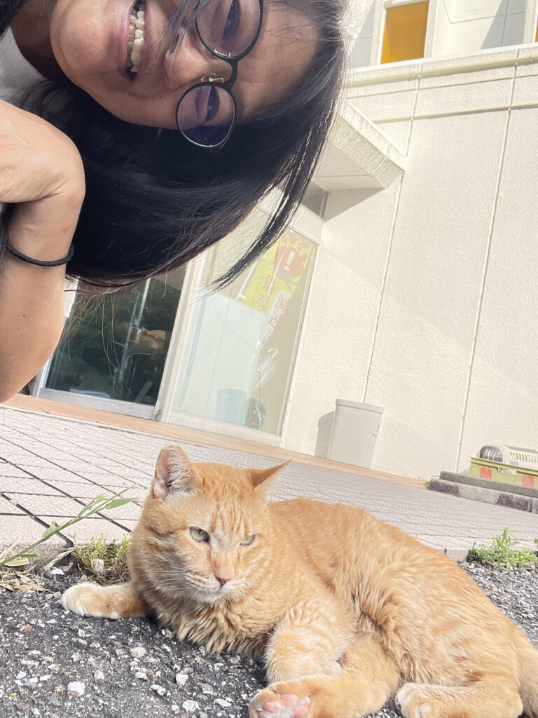 Cat in front of hotel